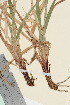  ( - TROM_V_85223_sg)  @11 [ ] CreativeCommons - Attribution Non-Commercial Share-Alike (2015) Unspecified Tromso University Museum