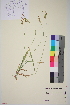  ( - TROM_V_961999_sg)  @11 [ ] CreativeCommons - Attribution Non-Commercial Share-Alike (2014) Unspecified Tromso University Museum
