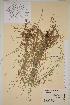 ( - TROM-V-62864)  @11 [ ] CreativeCommons - Attribution Non-Commercial Share-Alike (2013) Unspecified Tromso University Museum