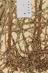  ( - TROM-V-62864)  @11 [ ] CreativeCommons - Attribution Non-Commercial Share-Alike (2013) Unspecified Tromso University Museum