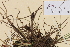  ( - TROM-V-14561)  @11 [ ] CreativeCommons - Attribution Non-Commercial Share-Alike (2013) Unspecified Tromso University Museum