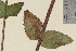  ( - TROM-V-146458)  @11 [ ] CreativeCommons - Attribution Non-Commercial Share-Alike (2013) Unspecified Tromso University Museum