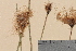  ( - TROM-V-45861)  @11 [ ] CreativeCommons - Attribution Non-Commercial Share-Alike (2013) Unspecified Tromso University Museum