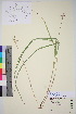  ( - TROM_V_148469_sg)  @11 [ ] CreativeCommons - Attribution Non-Commercial Share-Alike (2015) Unspecified Tromso University Museum
