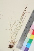  ( - TROM_V_147660_sg)  @11 [ ] CreativeCommons - Attribution Non-Commercial Share-Alike (2015) Unspecified Tromso University Museum