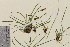  ( - TROM-V-88494)  @11 [ ] CreativeCommons - Attribution Non-Commercial Share-Alike (2013) Unspecified Tromso University Museum