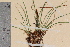  ( - TROM-V-6230)  @11 [ ] CreativeCommons - Attribution Non-Commercial Share-Alike (2013) Unspecified Tromso University Museum