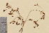  ( - TROM-V-153481)  @11 [ ] CreativeCommons - Attribution Non-Commercial Share-Alike (2013) Unspecified Tromso University Museum