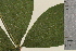  ( - TROM-V-148164)  @11 [ ] CreativeCommons - Attribution Non-Commercial Share-Alike (2013) Unspecified Tromso University Museum