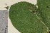  ( - TROM-V-961982)  @11 [ ] CreativeCommons - Attribution Non-Commercial Share-Alike (2013) Unspecified Tromso University Museum