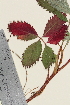  ( - TROM_V_148066_sg)  @11 [ ] CreativeCommons - Attribution Non-Commercial Share-Alike (2014) Unspecified Tromso University Museum