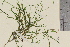  ( - TROM-V-147894)  @11 [ ] CreativeCommons - Attribution Non-Commercial Share-Alike (2013) Unspecified Tromso University Museum