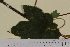  ( - SEL_0001)  @11 [ ] CreativeCommons - Attribution Non-Commercial Share-Alike (2013) Unspecified Tromso University Museum