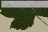  ( - SEL_0002)  @11 [ ] CreativeCommons - Attribution Non-Commercial Share-Alike (2013) Unspecified Tromso University Museum