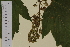  ( - SEL_0003)  @11 [ ] CreativeCommons - Attribution Non-Commercial Share-Alike (2013) Unspecified Tromso University Museum
