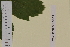  ( - SEL_0003)  @11 [ ] CreativeCommons - Attribution Non-Commercial Share-Alike (2013) Unspecified Tromso University Museum