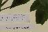  ( - SEL_0036)  @11 [ ] CreativeCommons - Attribution Non-Commercial Share-Alike (2013) Unspecified Tromso University Museum