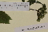  ( - SEL_0037)  @11 [ ] CreativeCommons - Attribution Non-Commercial Share-Alike (2013) Unspecified Tromso University Museum
