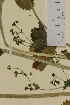  ( - SEL_0094)  @11 [ ] CreativeCommons - Attribution Non-Commercial Share-Alike (2013) Unspecified Tromso University Museum