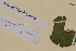  ( - SEL_0100)  @11 [ ] CreativeCommons - Attribution Non-Commercial Share-Alike (2012) Unspecified Tromso University Museum