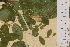  ( - SEL_0370)  @11 [ ] CreativeCommons - Attribution Non-Commercial Share-Alike (2012) Unspecified Tromso University Museum