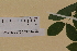  ( - SEL_0371)  @11 [ ] CreativeCommons - Attribution Non-Commercial Share-Alike (2012) Unspecified Tromso University Museum