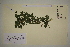  ( - SEL_0372)  @11 [ ] CreativeCommons - Attribution Non-Commercial Share-Alike (2012) Unspecified Tromso University Museum