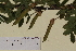  ( - SEL_0372)  @11 [ ] CreativeCommons - Attribution Non-Commercial Share-Alike (2012) Unspecified Tromso University Museum