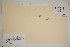  ( - SEL_0486)  @11 [ ] CreativeCommons - Attribution Non-Commercial Share-Alike (2012) Unspecified Tromso University Museum