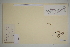  ( - SEL_0487)  @11 [ ] CreativeCommons - Attribution Non-Commercial Share-Alike (2012) Unspecified Tromso University Museum