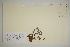  ( - SEL_0588)  @11 [ ] CreativeCommons - Attribution Non-Commercial Share-Alike (2012) Unspecified Tromso University Museum