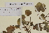  ( - SEL_0588)  @11 [ ] CreativeCommons - Attribution Non-Commercial Share-Alike (2012) Unspecified Tromso University Museum