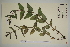  ( - SEL_0623)  @11 [ ] CreativeCommons - Attribution Non-Commercial Share-Alike (2012) Unspecified Tromso University Museum