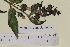  ( - SEL_0623)  @11 [ ] CreativeCommons - Attribution Non-Commercial Share-Alike (2012) Unspecified Tromso University Museum