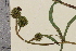  ( - TROM-V-89460)  @11 [ ] CreativeCommons - Attribution Non-Commercial Share-Alike (2013) Unspecified Tromso University Museum