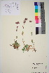  ( - TROM_V_960119_sg)  @11 [ ] CreativeCommons - Attribution Non-Commercial Share-Alike (2015) Unspecified Tromso University Museum