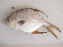  ( - NPPF1154)  @12 [ ] Copyright (2010) H. Asgharian 2010 Unspecified