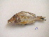  ( - NPPF1178)  @11 [ ] Copyright (2010) H. Asgharian 2010 Unspecified