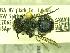 ( - BBSL675978)  @13 [ ] Unspecified (default): All Rights Reserved  Unspecified Unspecified