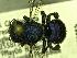  ( - YOSE184982)  @11 [ ] Unspecified (default): All Rights Reserved  Unspecified Unspecified
