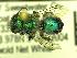  ( - BBSL706818)  @13 [ ] Unspecified (default): All Rights Reserved  Unspecified Unspecified