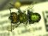  ( - BBSL707082)  @13 [ ] Unspecified (default): All Rights Reserved  Unspecified Unspecified