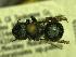  (Osmia nanula - YOSE199856)  @13 [ ] Unspecified (default): All Rights Reserved  Unspecified Unspecified