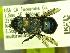  ( - YOSE189961)  @13 [ ] Unspecified (default): All Rights Reserved  Unspecified Unspecified