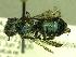  ( - USGS-DRO132924)  @12 [ ] Unspecified (default): All Rights Reserved  Unspecified Unspecified