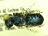  ( - BBSL585106)  @13 [ ] Unspecified (default): All Rights Reserved  Unspecified Unspecified
