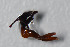  ( - TKDNA01)  @12 [ ] Unspecified (default): All Rights Reserved  Unspecified Unspecified