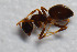  ( - TKDNA19)  @13 [ ] Unspecified (default): All Rights Reserved  Unspecified Unspecified