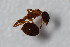  ( - TKDNA22)  @12 [ ] Unspecified (default): All Rights Reserved  Unspecified Unspecified