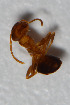  ( - TKDNA24)  @12 [ ] Unspecified (default): All Rights Reserved  Unspecified Unspecified